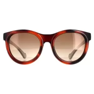 Round Dark Tortoise Havana Brown ML0087