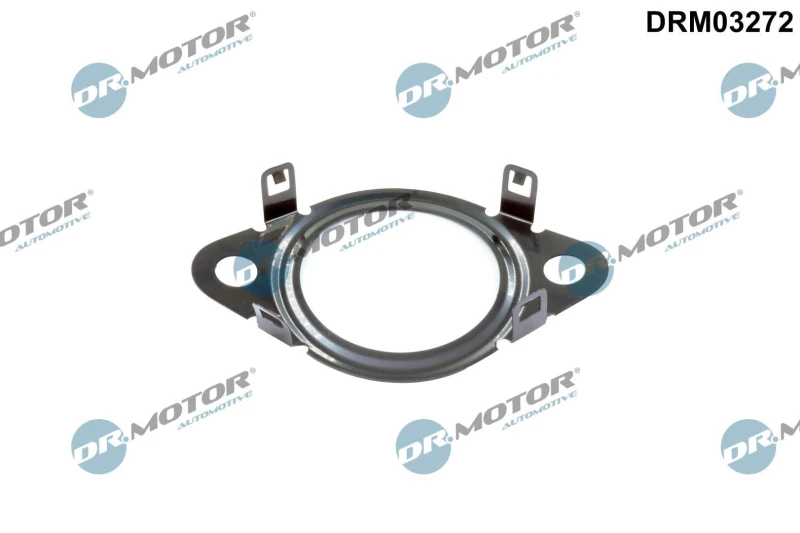 Image of DR.MOTOR AUTOMOTIVE EGR valve pipe gasket DR.MOTOR AUTOMOTIVE DRM03272
