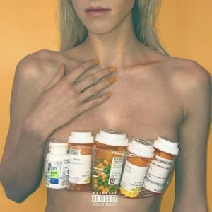 Image of Digital Druglord by blackbear CD Album