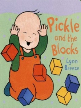 Image of Pickle and the Blocks by Lynn Breeze Hardback