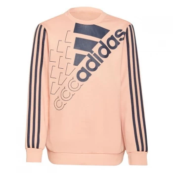 Image of adidas Linear Crw SwtJG21 - Pink/Navy