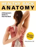 Image of healthy back anatomy