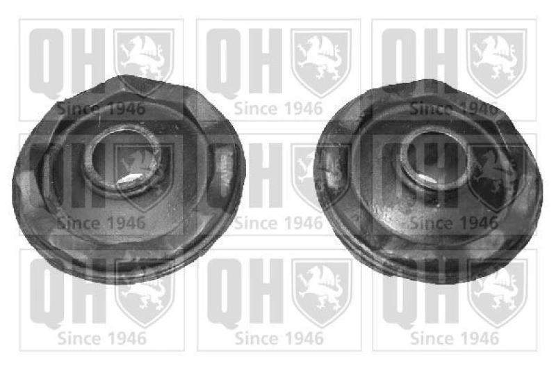 Image of QUINTON HAZELL Anti roll bar bush QUINTON HAZELL QSK220S