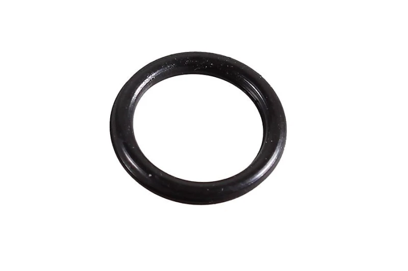 Image of Seal Ring METZGER 2430055