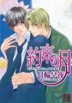 Image of Moonlit Promises by Souya Himawari Book