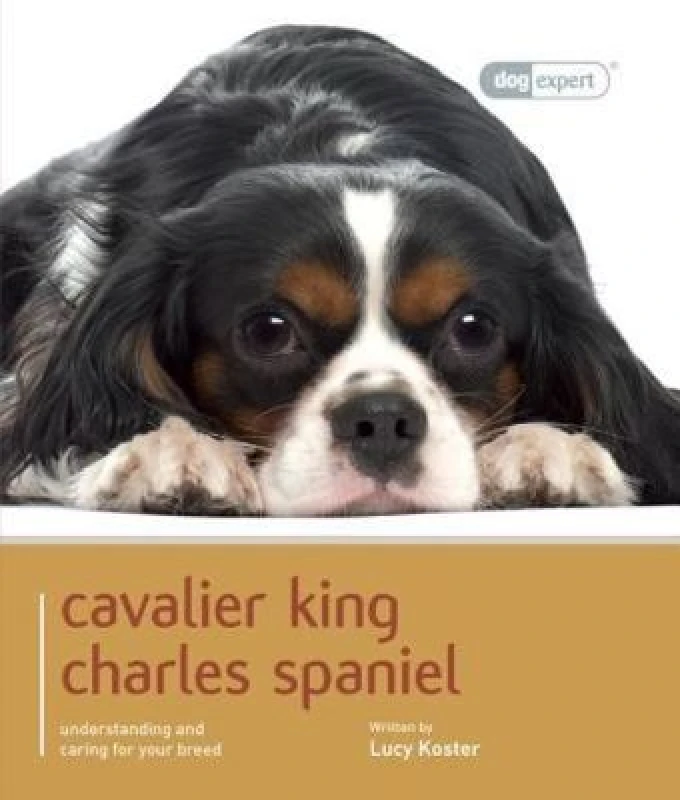 Image of Cavalier King Charles - Dog Expert by Lucy Koster Paperback