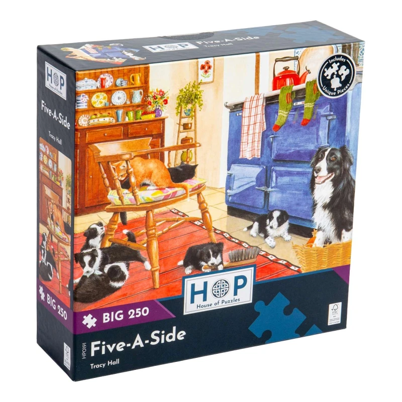 Image of The House Of Puzzles Five-A-Side, BIG 250 Piece Jigsaw Puzzle Multi unisex