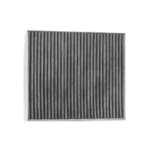 Image of FILTRON Pollen filter OPEL,RENAULT,CHEVROLET K 1343A 13356914,1684471080,1808020 13356914