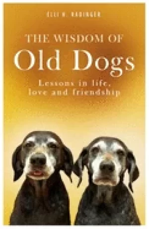 Image of wisdom of old dogs lessons in life love and friendship