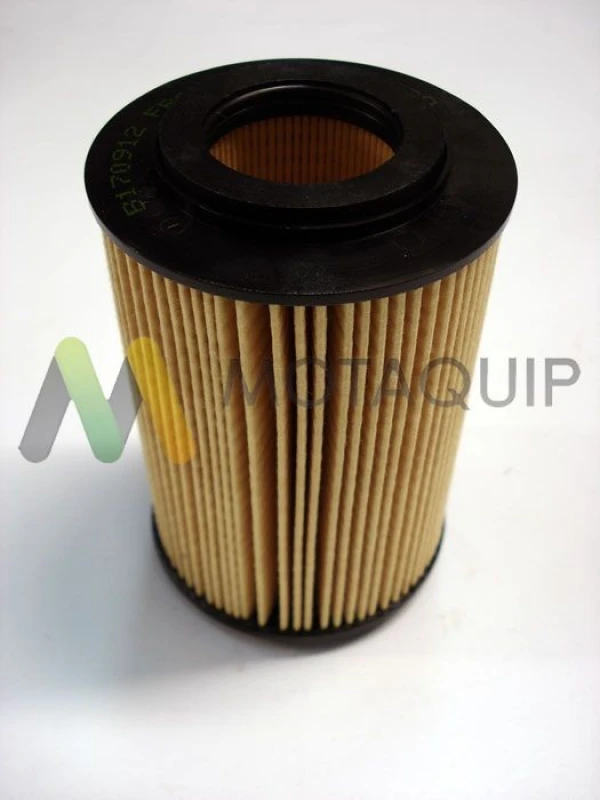 Image of MOTAQUIP Oil filter MOTAQUIP LVFL746