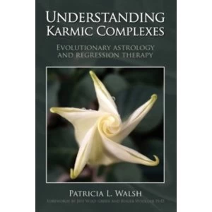 Image of Understanding Karmic Complexes : Evolutionary Astrology and Regression Therapy