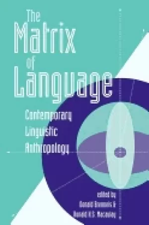Image of matrix of language contemporary linguistic anthropology