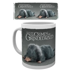 Image of Fantastic Beasts 2 - Einstein Mug