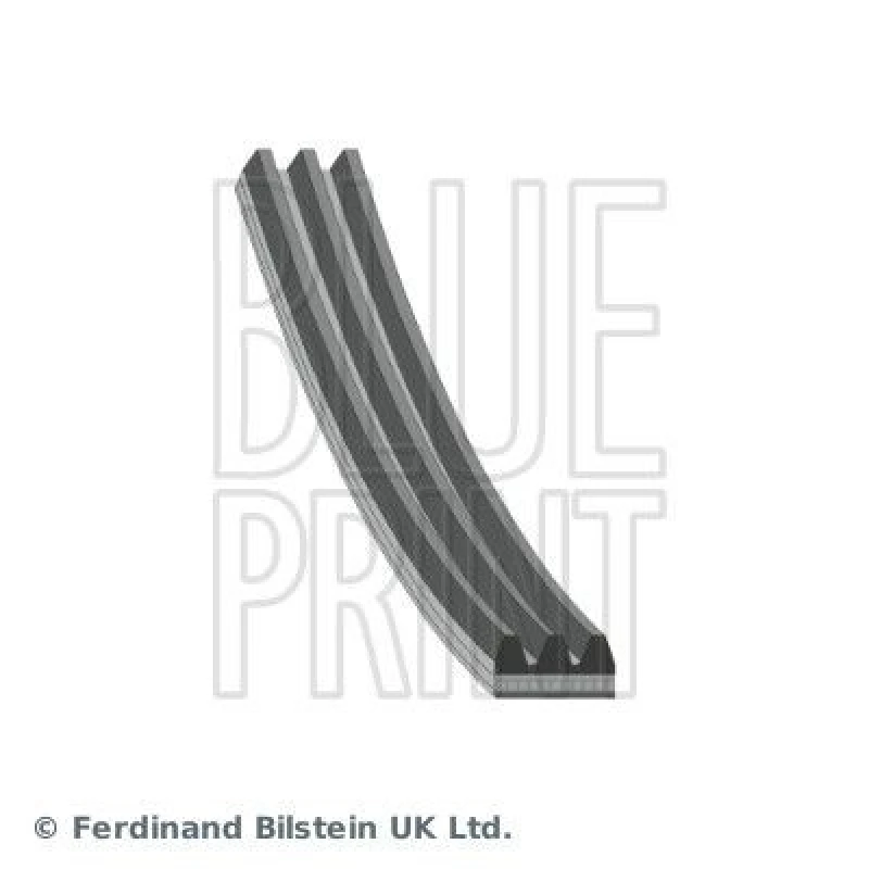 Image of Blue PRINT Serpentine belt Blue PRINT AD03S798