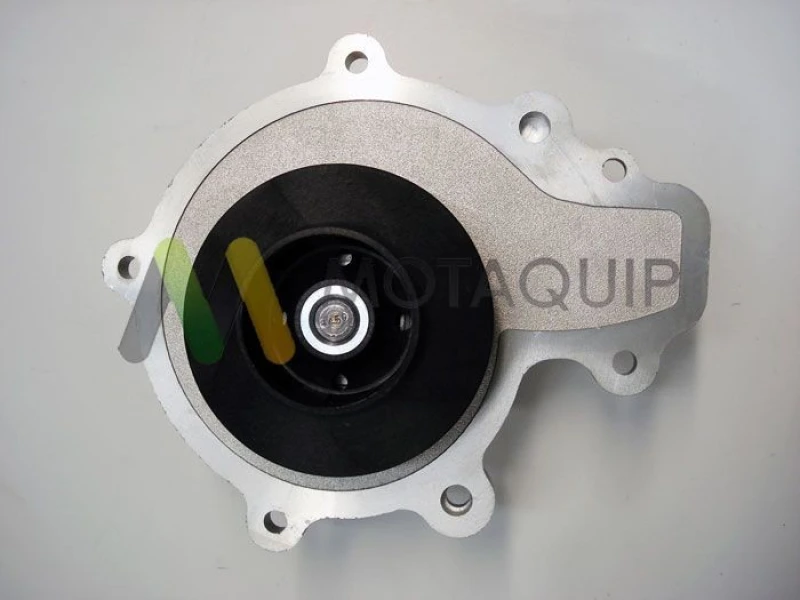 Image of MOTAQUIP Water pump MOTAQUIP LVWP998