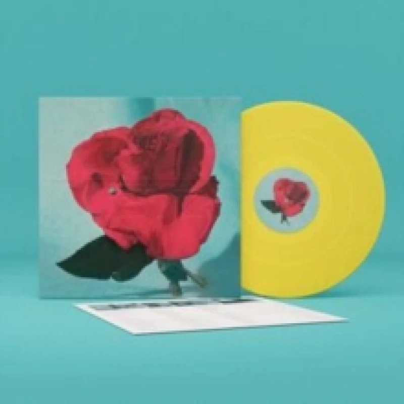 Image of Up On Gravity Hill Vinyl