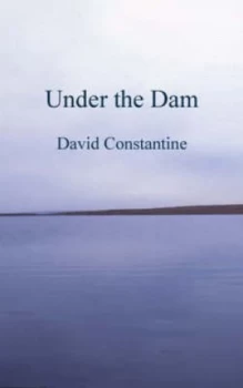 Image of Under the Dam by David Constantine Paperback