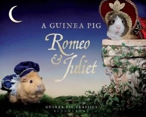 Image of A Guinea Pig Romeo and Juliet by William Shakespeare Hardback