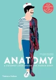 Image of Anatomy : A Cutaway Look Inside the Human Body