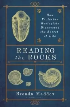 Image of Reading the rocks by Brenda Maddox