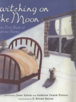 Image of Switching on the Moon by G. Brian Karas Hardback