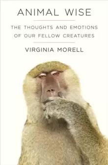 Image of Animal Wise : The Thoughts and Emotions of Animals