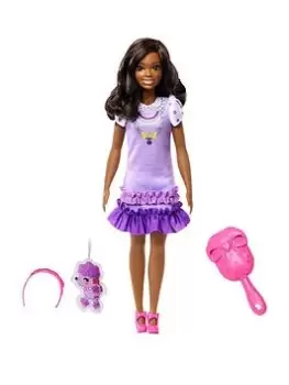 Image of Barbie My First Barbie “Brooklyn” Soft Body Doll and Accessories, One Colour