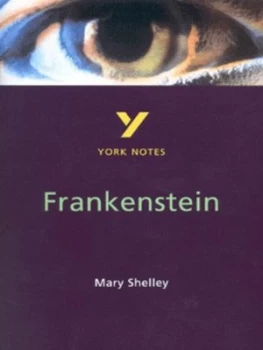 Image of Frankenstein Mary Shelley by Alex Fairbairn Book