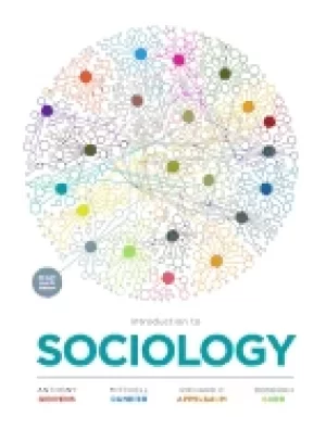 Image of introduction to sociology