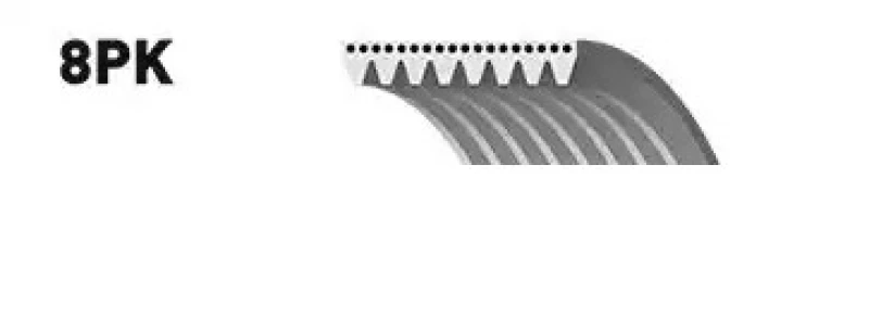 Image of SNR CA8PK1173 V-ribbed belt V-Ribbed Belts (305)