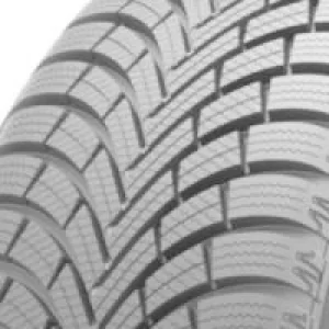 Image of Maxxis Premitra Snow WP6 (195/55 R16 87H)