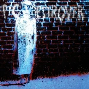 Image of Book Burner by Pig Destroyer CD Album