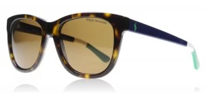 Polo Ralph Lauren PH4105 Sunglasses Shiny Dark Havana 557783 Polariserade 54mm