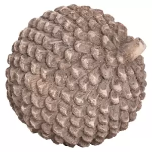 Image of Large Stone Pinecone