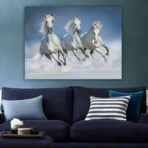 Image of 336882230_70100 Multicolor Decorative Canvas Painting