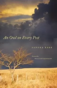 Image of An Owl on Every Post