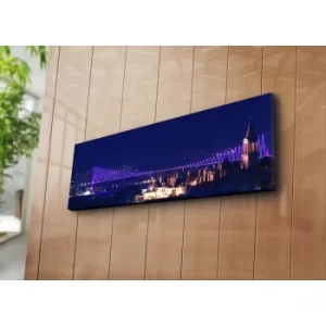 Image of 3090C-53 Multicolor Decorative Canvas Painting