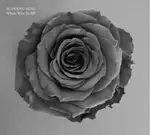 Image of Budding Rose - Where Were Ye All? (Music CD)