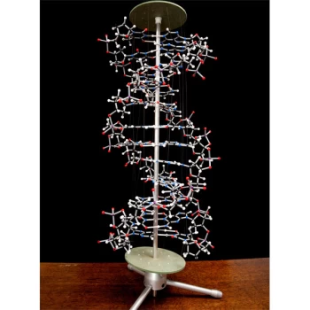 Image of Cochranes Of Oxford Orbit Proview DNA Model - 750 Atoms - Assemble...