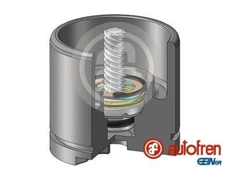 Image of AUTOFREN SEINSA Brake caliper piston AUTOFREN SEINSA D025256LK