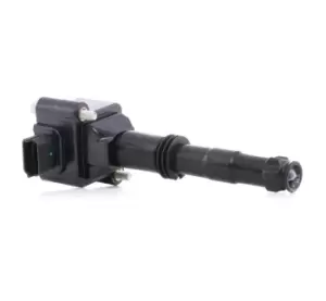 Image of RIDEX Ignition coil 689C0144 Coil pack,Ignition coil pack PORSCHE,Cayenne (92A),BOXSTER (986),911 (997),911 (996),911 Cabriolet (996),BOXSTER (987)