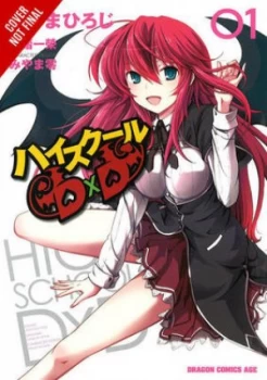 Image of High School Dxd by Hiroichi Paperback