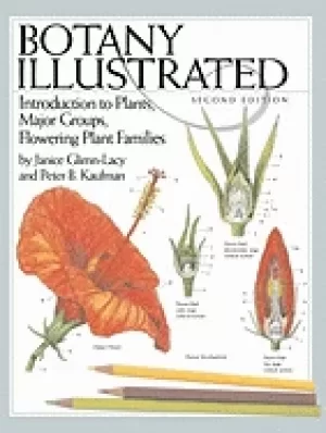 Image of botany illustrated introduction to plants major groups flowering plant fami
