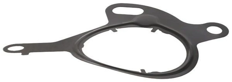 Image of Gasket, vacuum pump ELRING 767.120