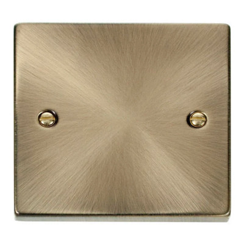 Image of SE Home Antique Brass 1 Gang Blank Plate Gold unisex