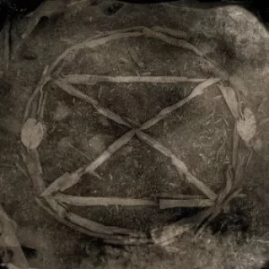 Image of Extinction by Common Eider, King Eider CD Album