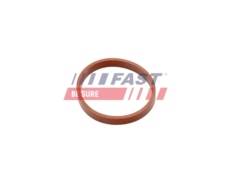 Image of FAST Inlet manifold gasket FAST FT49418
