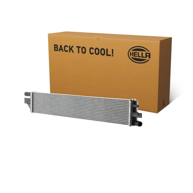 Image of HELLA Engine radiator HELLA 8MK 366 301-911