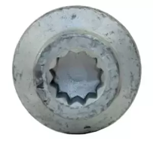 Image of METZGER Screw, injection nozzle holder OE-part 0871000S VW,AUDI,SKODA,Passat Variant (3C5),GOLF VI (5K1),Polo Schragheck (6R1, 6C1)