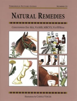 Image of Natural Remedies by Christopher Day Paperback